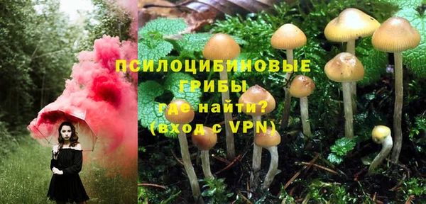 бошки Верхнеуральск